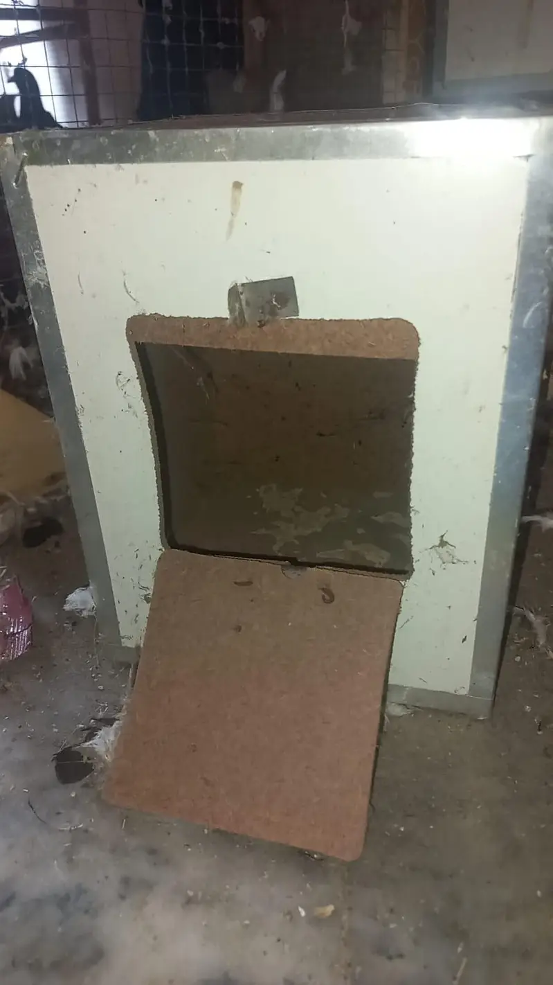 Playi Wood Breeding Boxes Java — photo 2