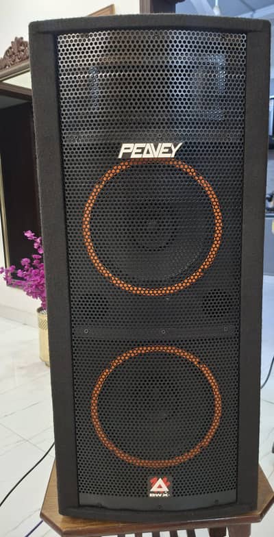 Mehfil Echo Speaker Box with 2 QS Speakers of 10 inch