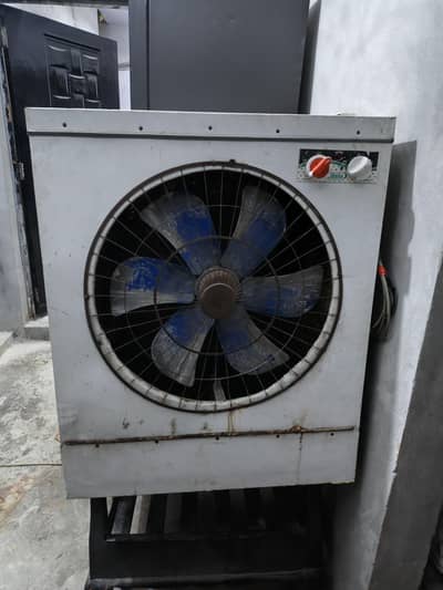 Large Size Cooler