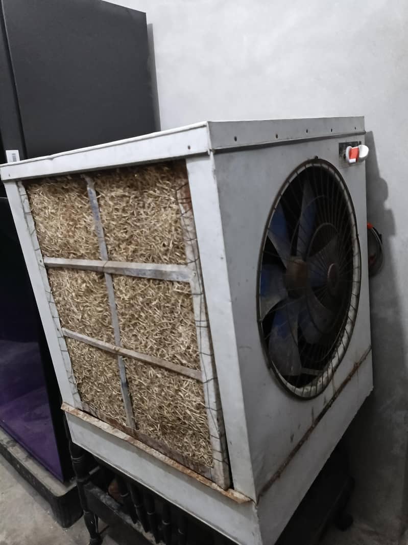 Large Size Cooler 1