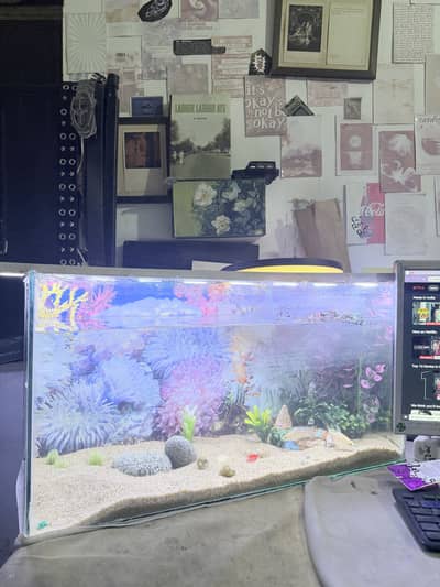 Aquarium