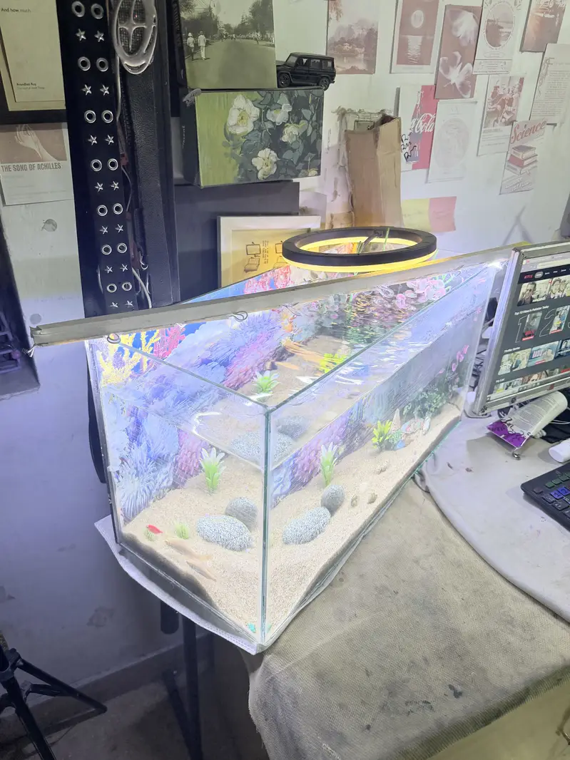Aquarium — photo 2
