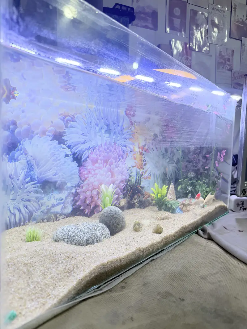 Aquarium — photo 3
