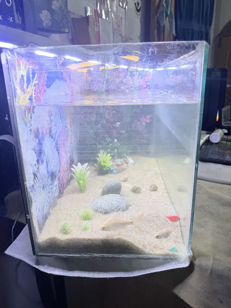Aquarium — photo 4