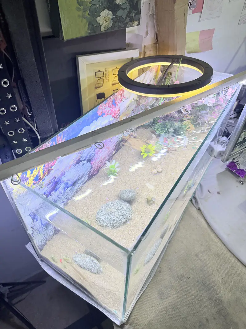 Aquarium — photo 5
