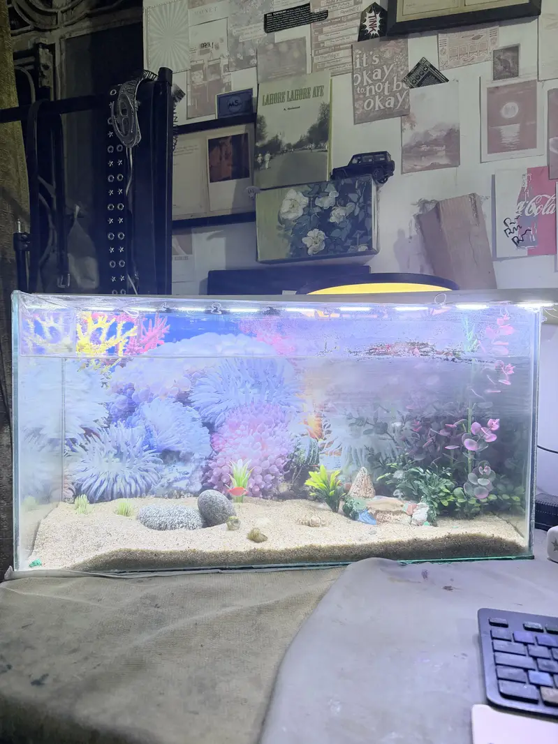 Aquarium — photo 6