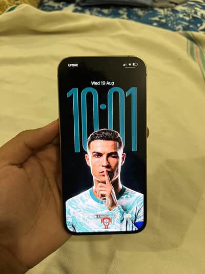 Apple iPhone 12 Pro Max