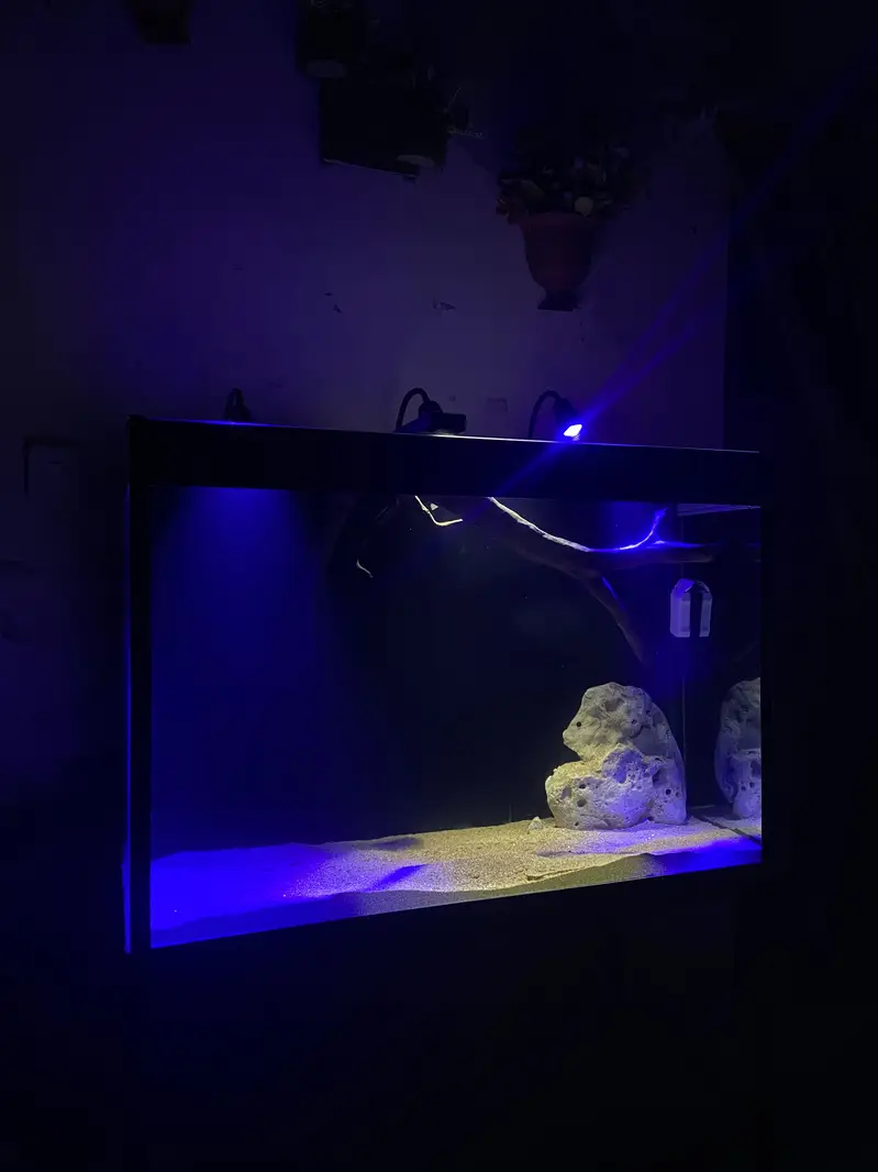 Fish Aquarium With Back Sump  — photo 2