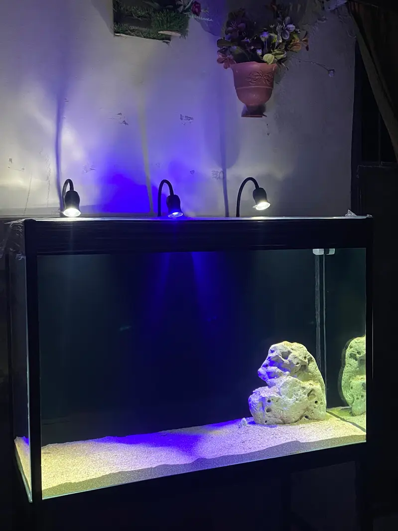Fish Aquarium With Back Sump  — photo 3