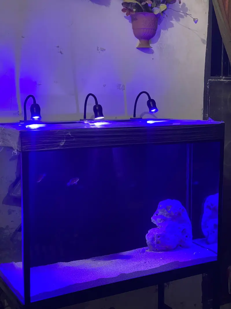 Fish Aquarium With Back Sump  — photo 5