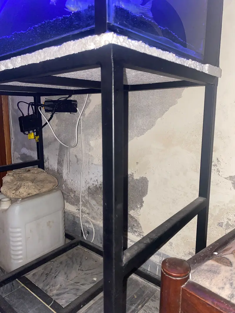 Fish Aquarium With Back Sump  — photo 6