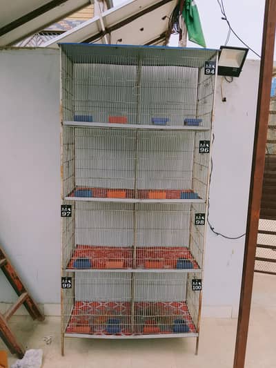 birds cage