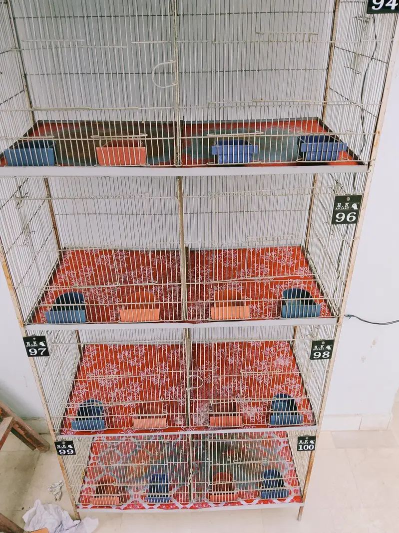 birds cage — photo 2