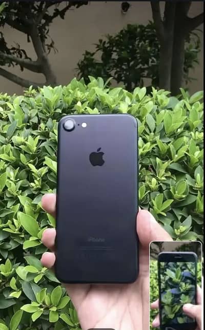 Apple iPhone 7