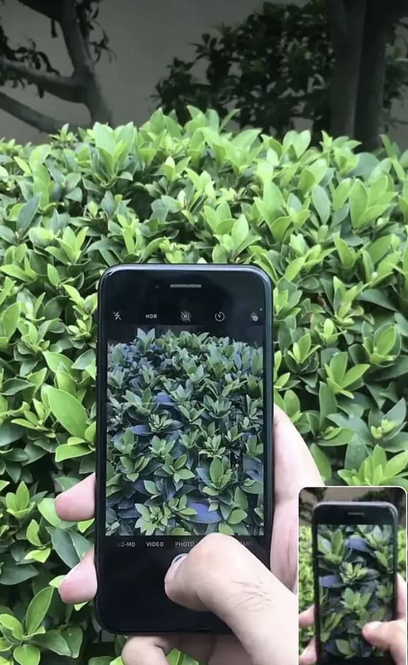 Apple iPhone 7 1