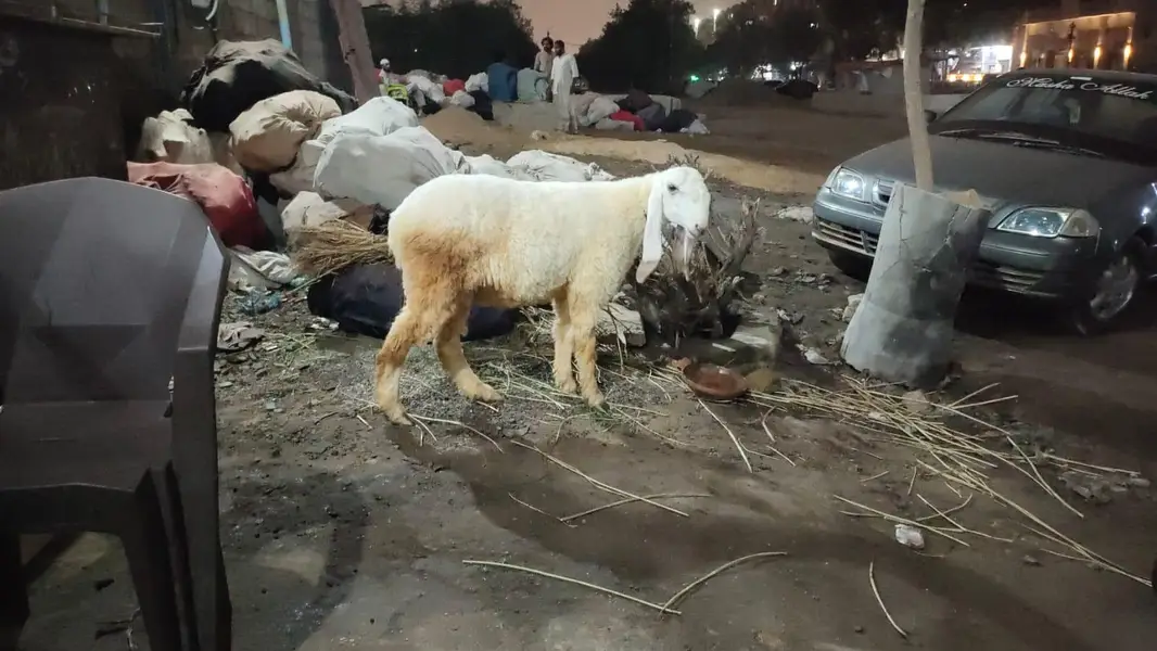 pure larkana ghr ka bacha — photo 2