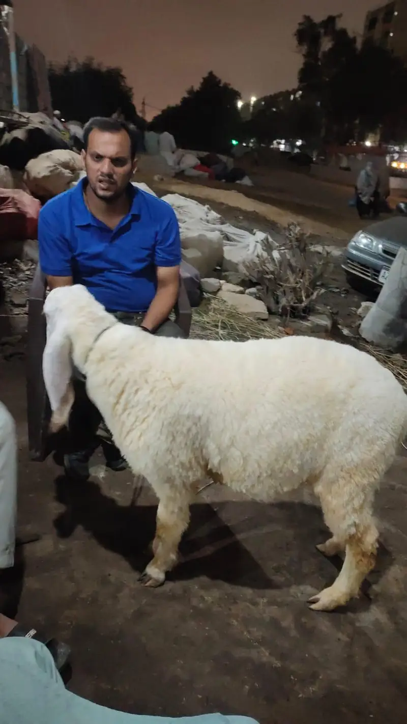 pure larkana ghr ka bacha — photo 3