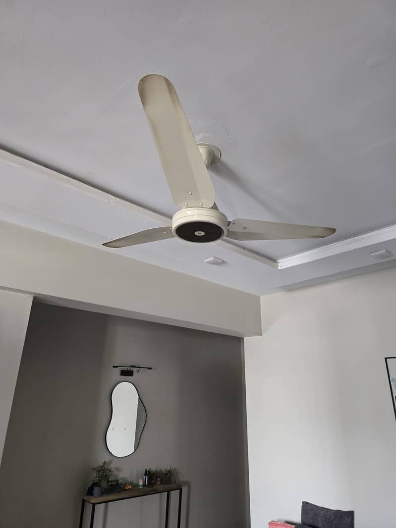 ceiling fans 1