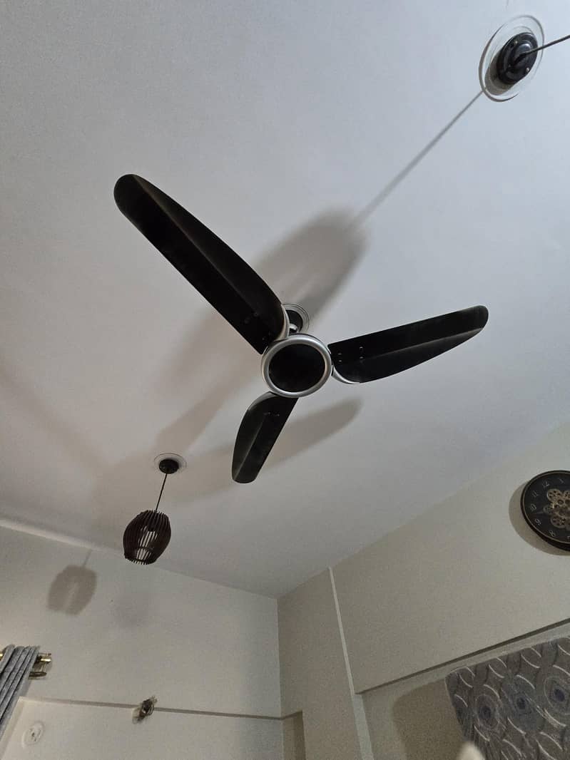 ceiling fans 2