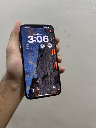 iPhone 13 Pro Max non pta 1tb