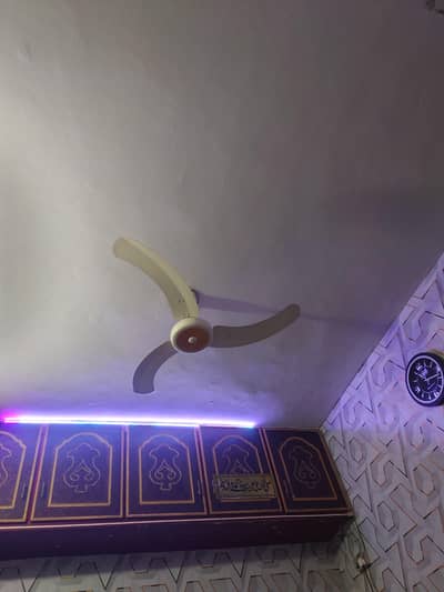 ceiling fan
