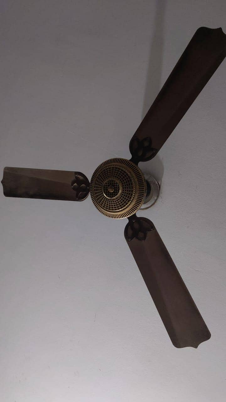 ceiling fan 1