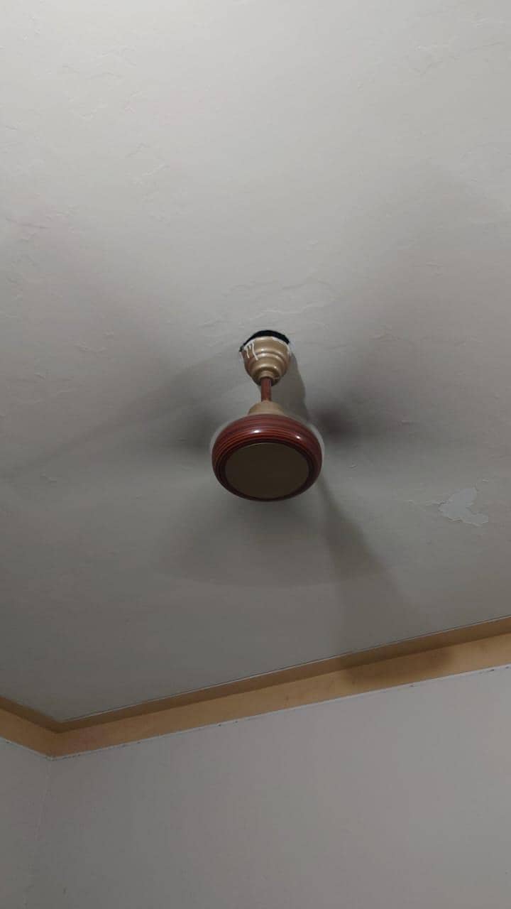 ceiling fan 3
