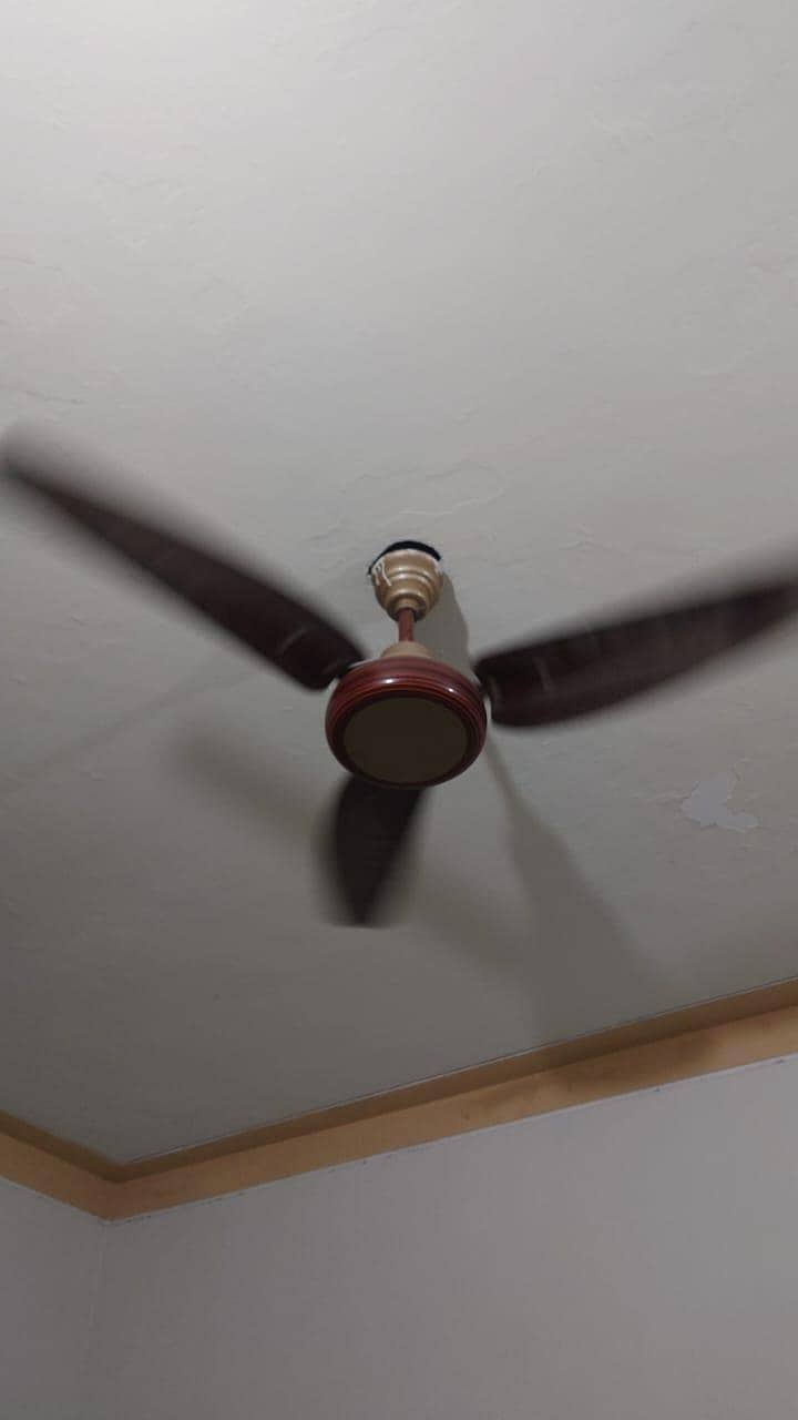 ceiling fan 4