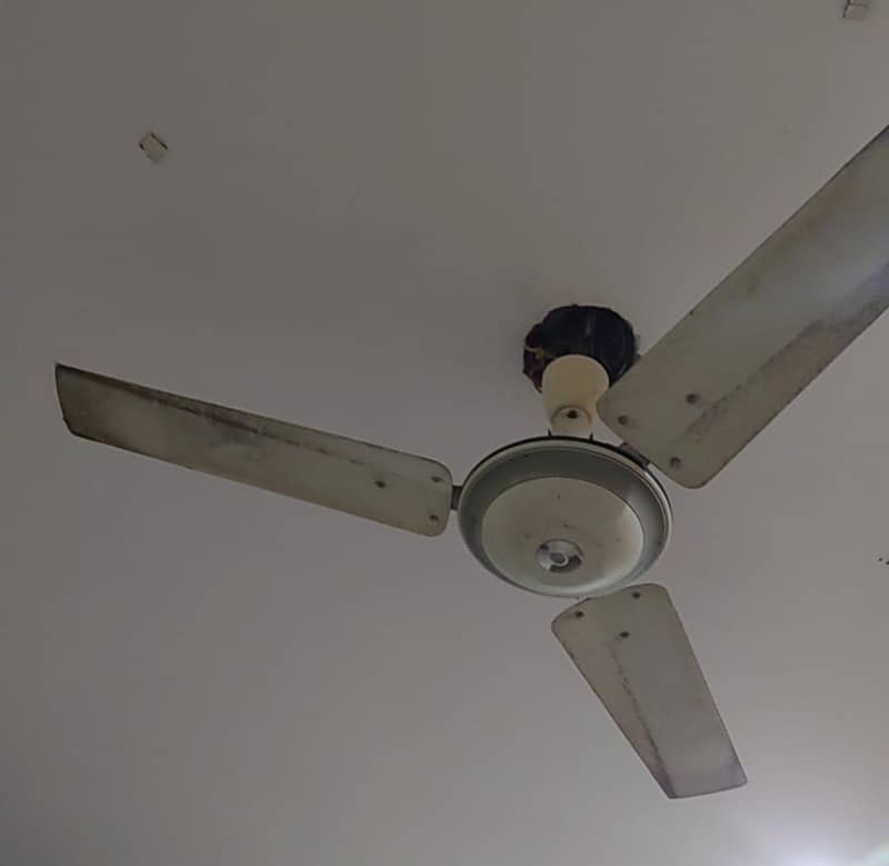 ceiling fan 5