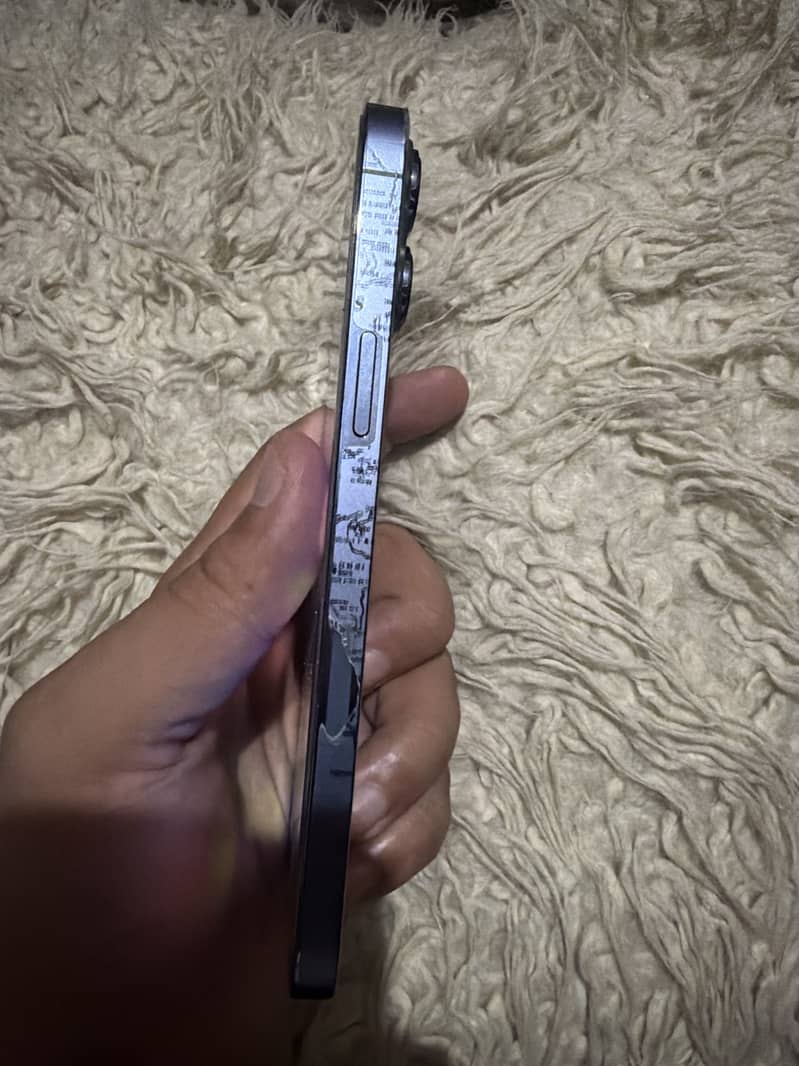 iPhone 13 Pro Max 1