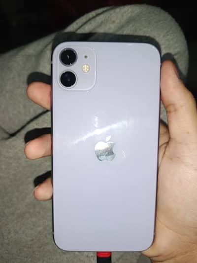 Apple iPhone 11