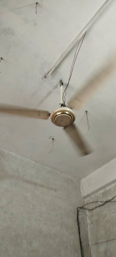 fans and coller four sale