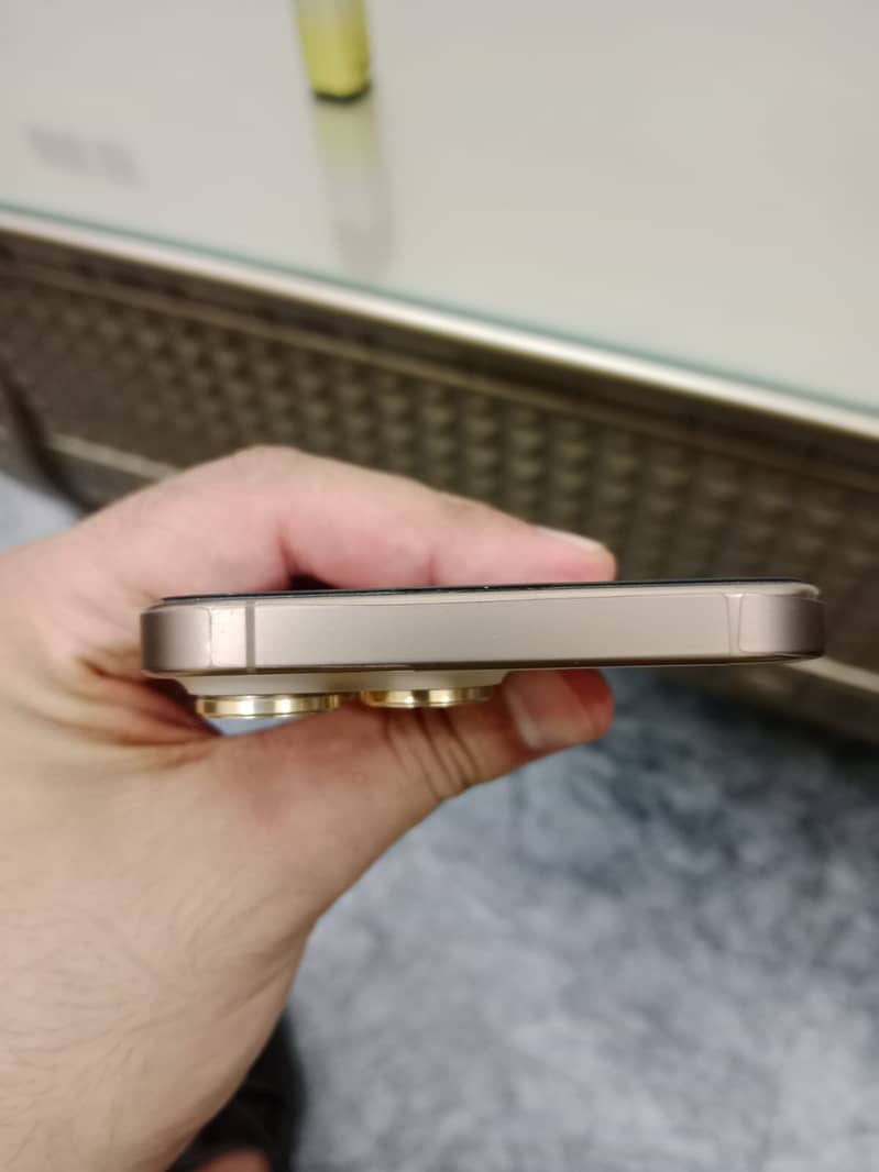 Apple iPhone 16 Pro Max 3