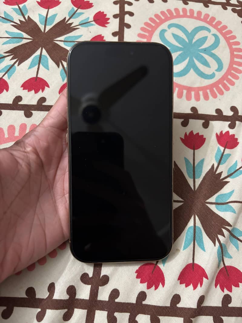Apple iPhone 16 Pro 1