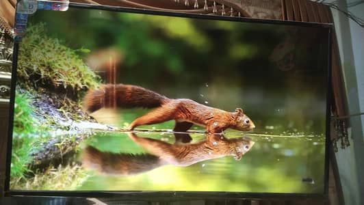 led for sale 50"
