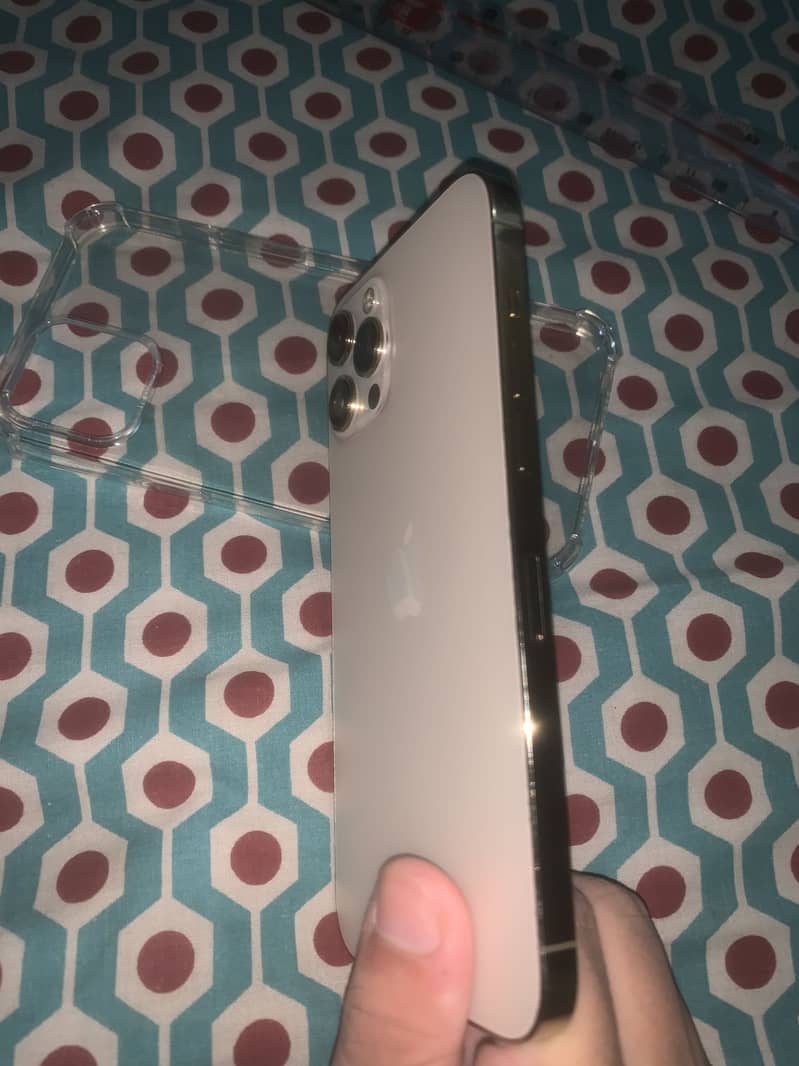 Apple iPhone 12 Pro Max 1