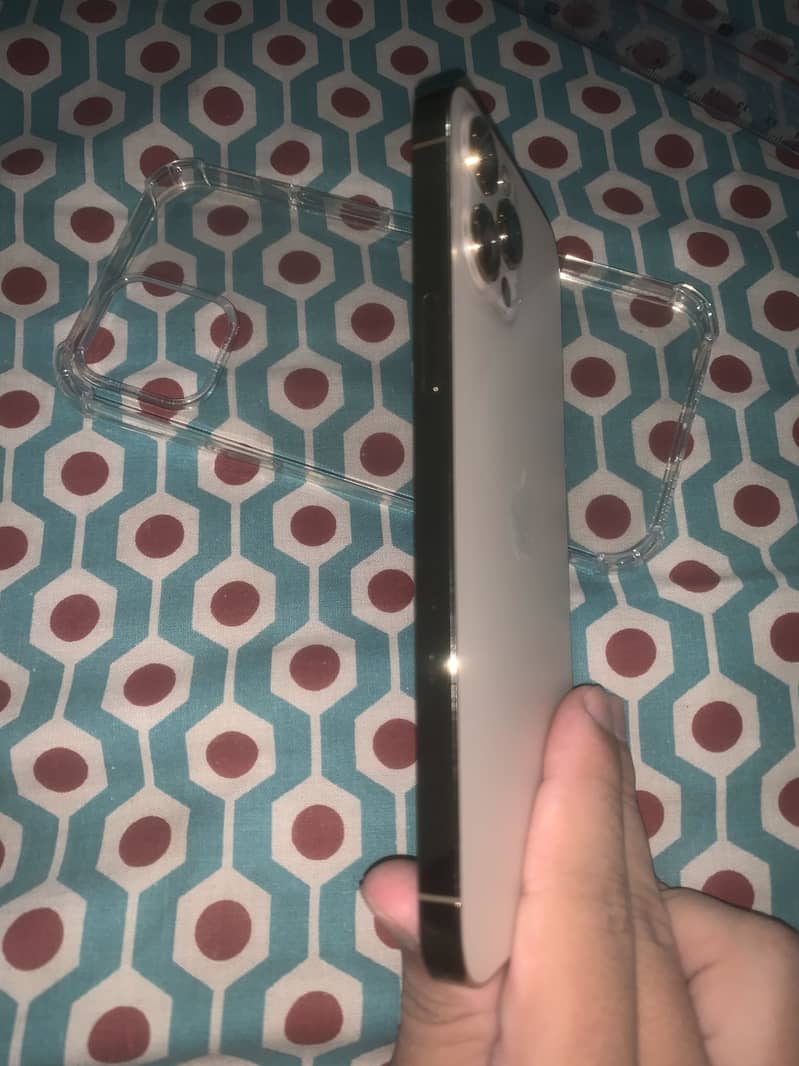 Apple iPhone 12 Pro Max 2