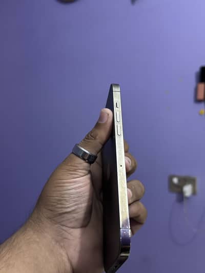 Apple iPhone 12 Pro Max