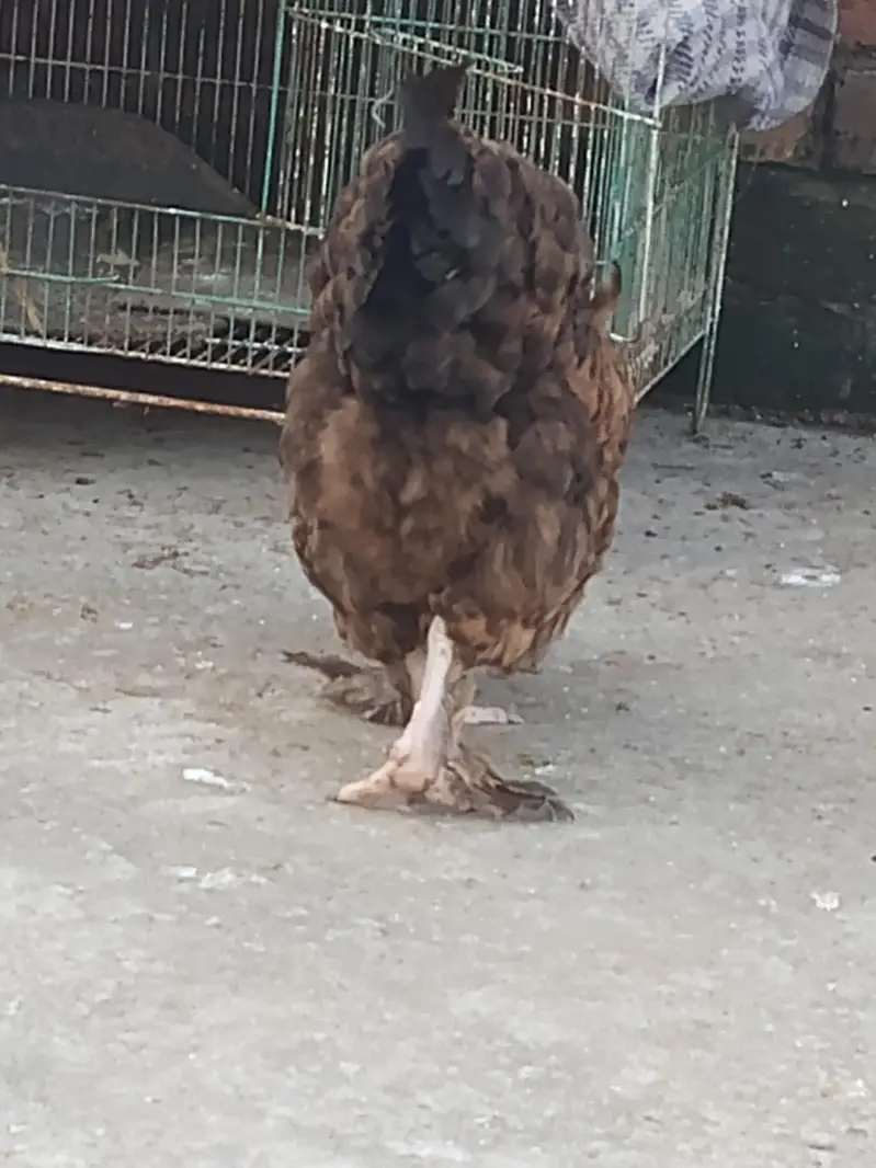 Black buff exchange possible — photo 4