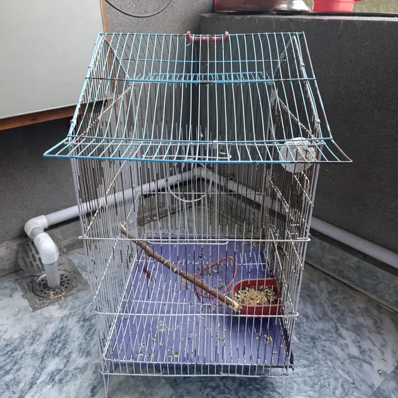 2 Bird Cages with Accessories – Red & Blue (House Style) — photo 3