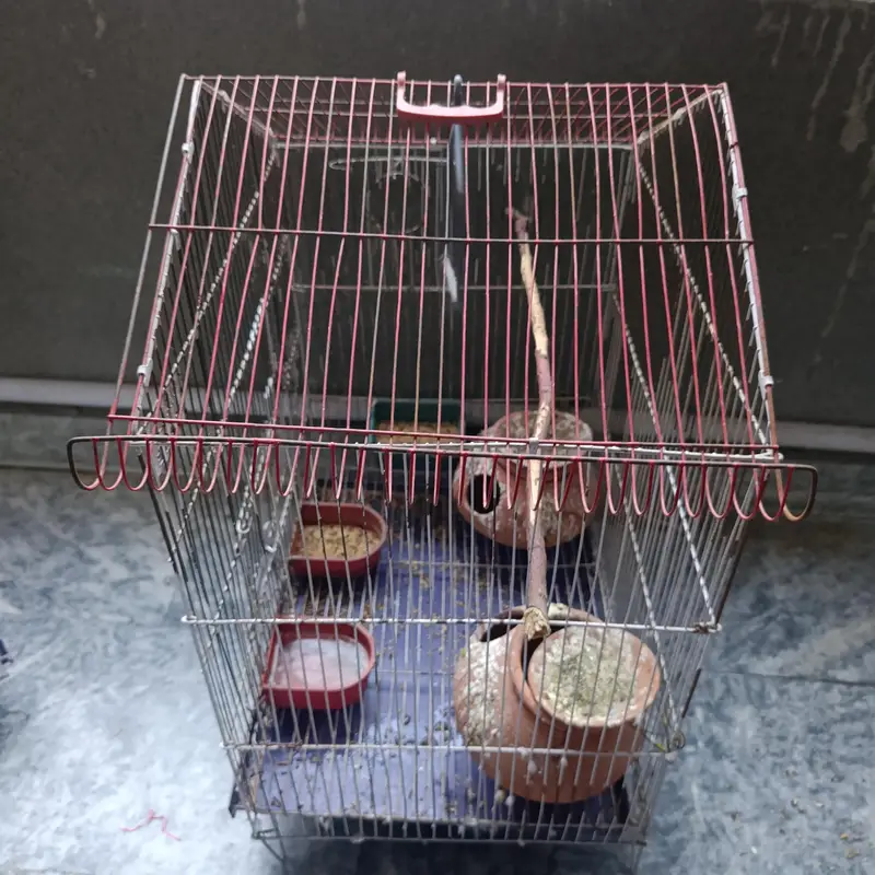 2 Bird Cages with Accessories – Red & Blue (House Style) — photo 5