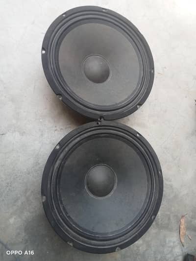 japani speakers