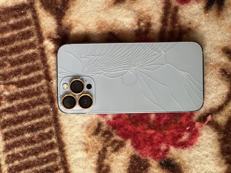 Apple iPhone 13 Pro Max 1