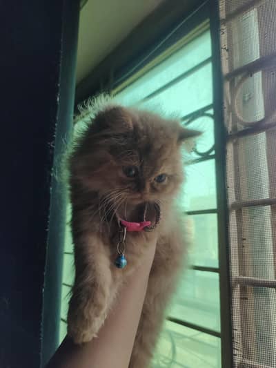 her name is kiki
