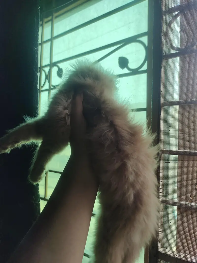 her name is kiki — photo 2