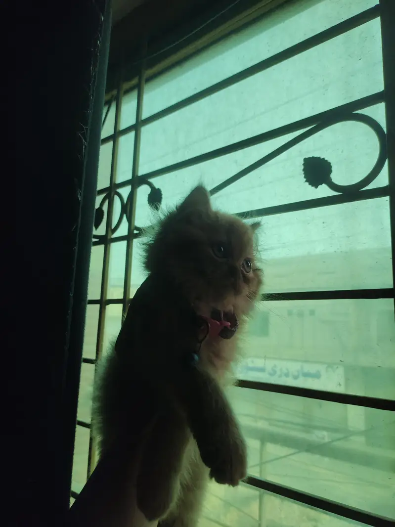 her name is kiki — photo 3