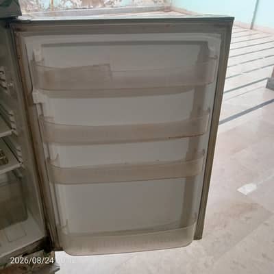 pel fridge he