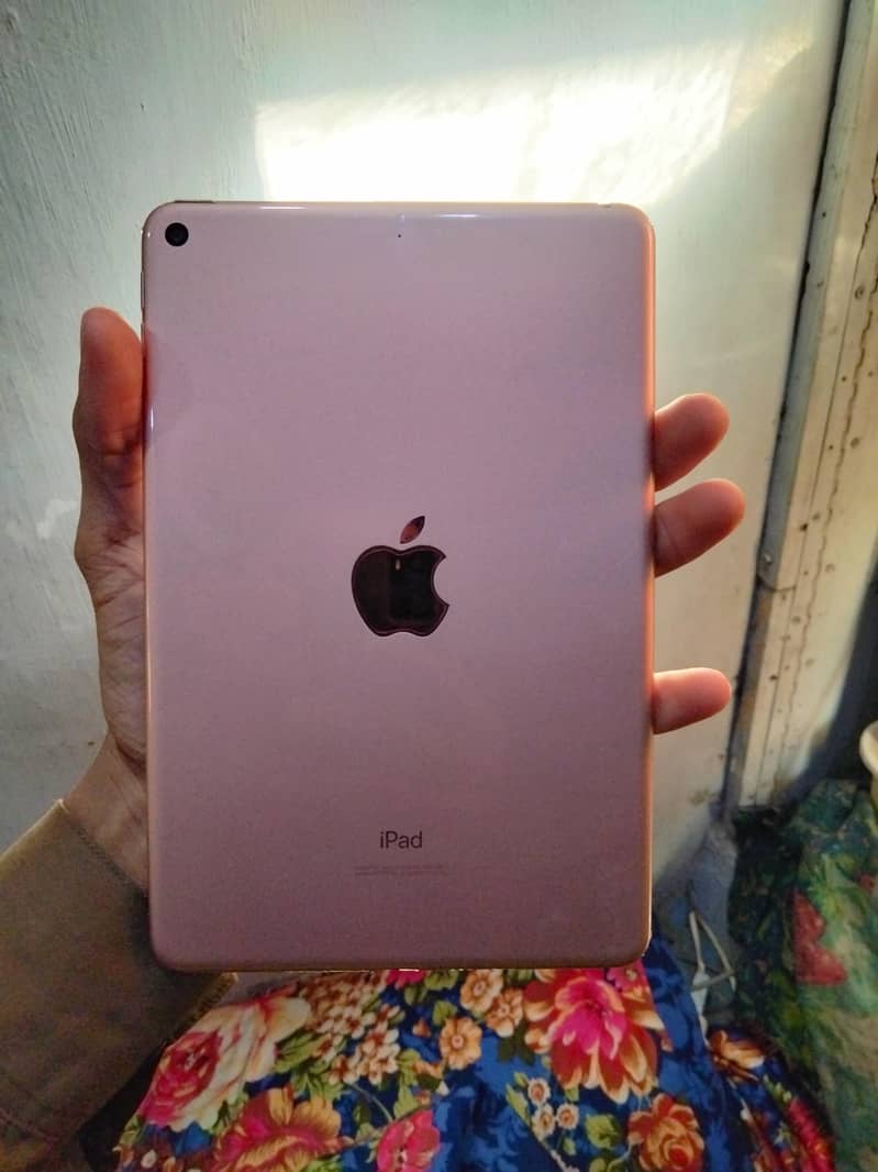 ipad mini 5 64gb 1