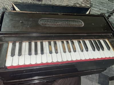 Ns Harmonium for urgent sale WA:03390985366