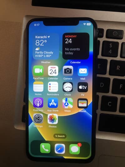 Apple iPhone X